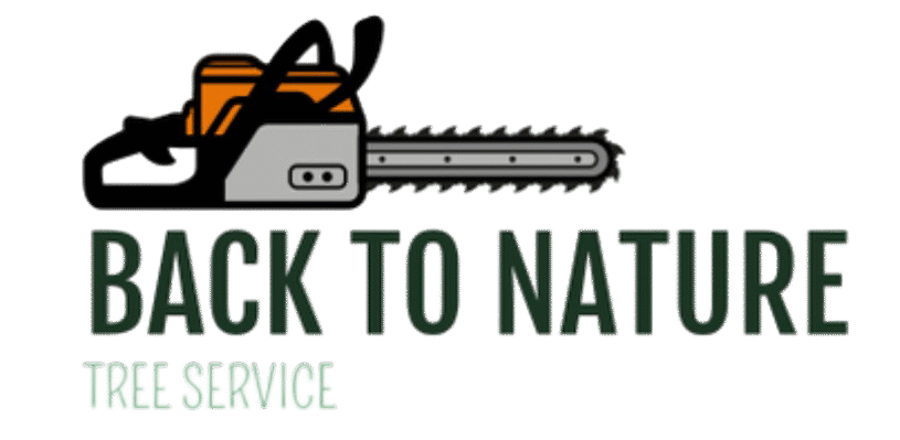 backtonaturetreeservice.com
